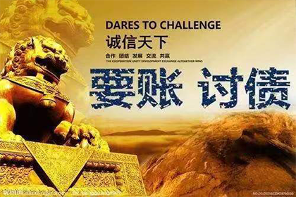 逾期借款法院强制执行的应对手段